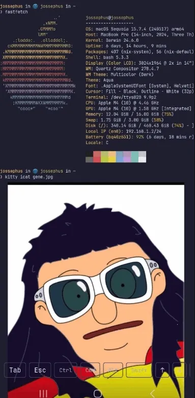 chuchu��׿���ֻ���