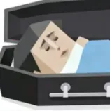 SBTI����(�˸������Ϸ)v1.1.1 ��׿��