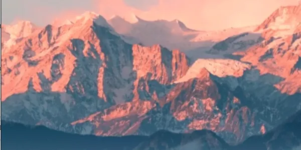 ����Ԥ�������������ֻ���