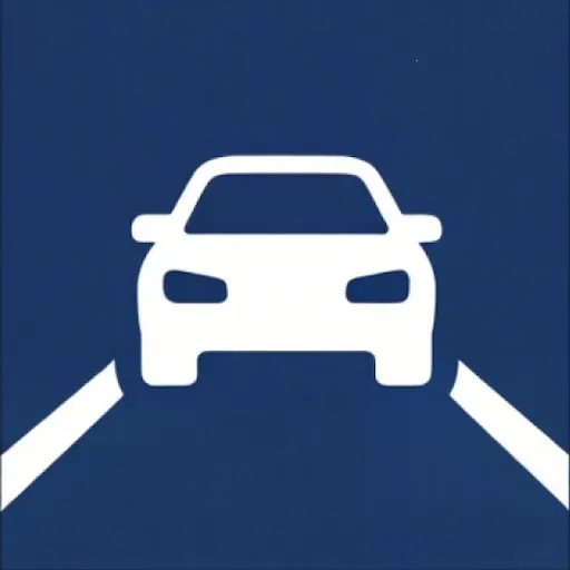 ��������¼(���й滮����)