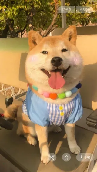 ���ݱ�ֽ(�ֻ���ֽ����)