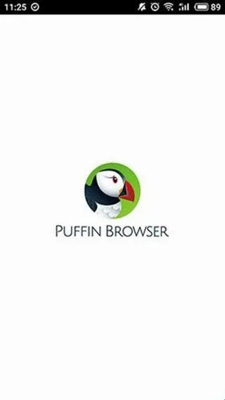 puffin浏览器安卓版手机版 puffin浏览器安卓版手机版