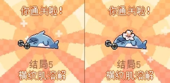 我的小鲨鱼安卓版手机版 我的小鲨鱼安卓版手机版