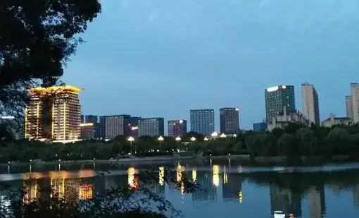 ͭ������׿���ֻ���