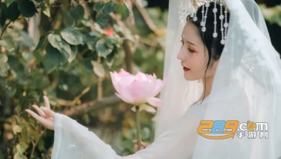 ӳ���������ֻ���