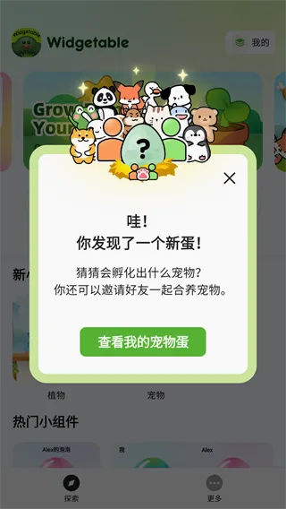 Widgetable(情侣小组件软件) Widgetable(情侣小组件软件)