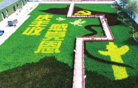 想看资讯安卓版手机版 想看资讯安卓版手机版