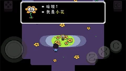 Evan的尘埃传说-UTMOD版2026最新版本 Evan的尘埃传说-UTMOD版2026最新版本