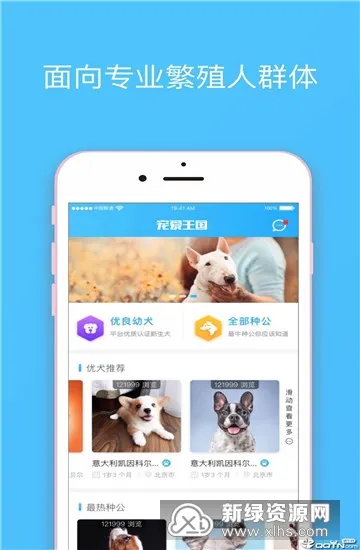 宠爱王国(宠物服务平台) 宠爱王国(宠物服务平台)
