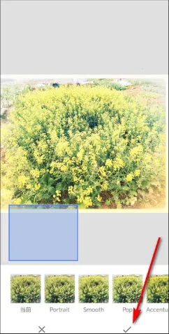 BetterSeed(图片修图工具) BetterSeed(图片修图工具)
